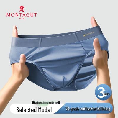 MONTAGUT Men's Modal Antibacterial Seamless Briefs