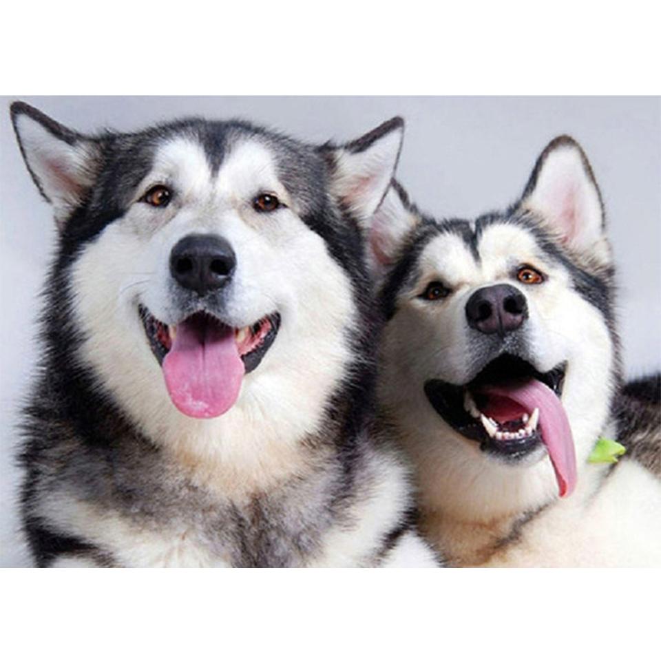 5D DIY Diamond Painting Animal Husky Picture Full Diamond Embroidery Rhinestone Mosaic Cross Stitch Kit Furniture Decoration