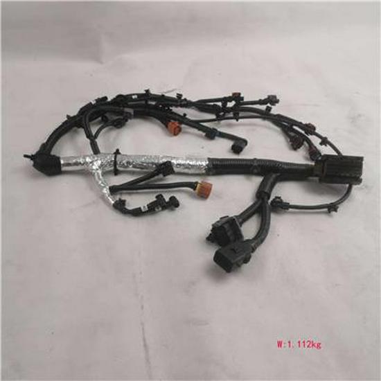 Foton Engine Wiring Harness Assembly PM40004416