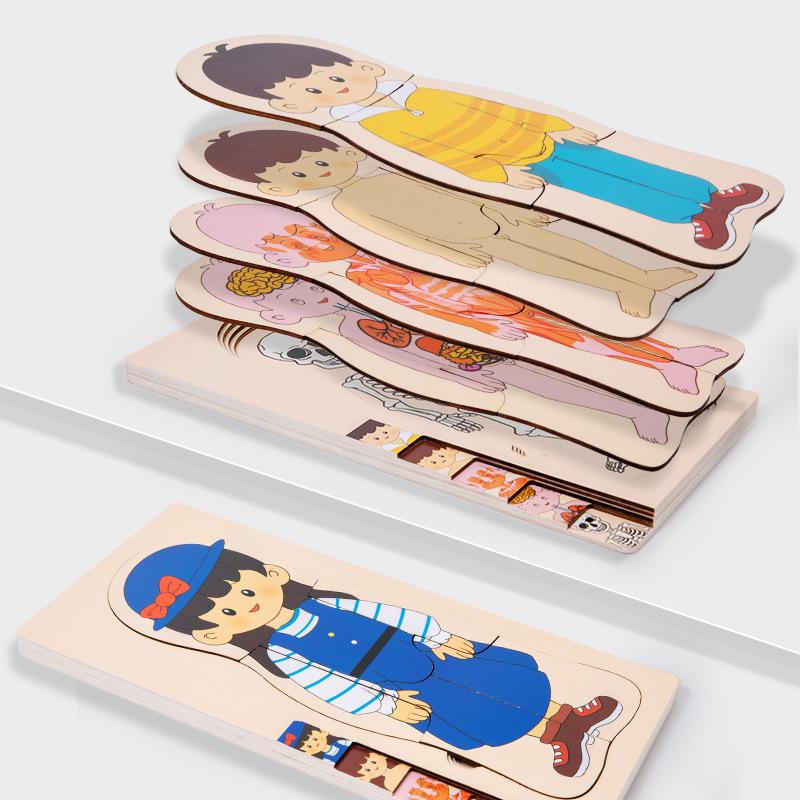 Early Childhood Educational Wooden Puzzle: Multi-layer Body, Brain & Organ Development Toy