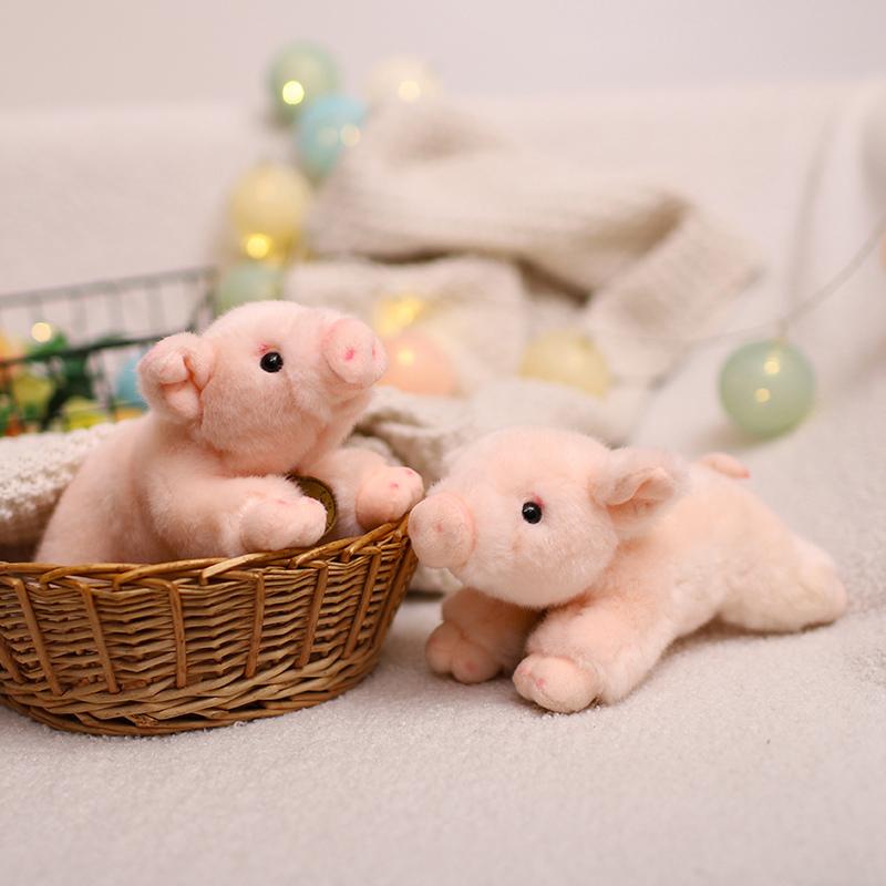 20CM Angel Pig plus jucărie desene animate animale de pluș păpușă anime moale copii Babys jucării pentru fete cadou de ziua de naștere