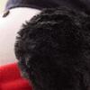 Fluffy Earmuffs (Black)
