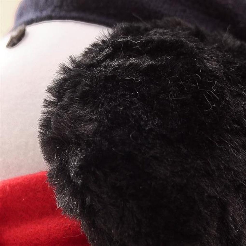 Fluffy Earmuffs (Black)