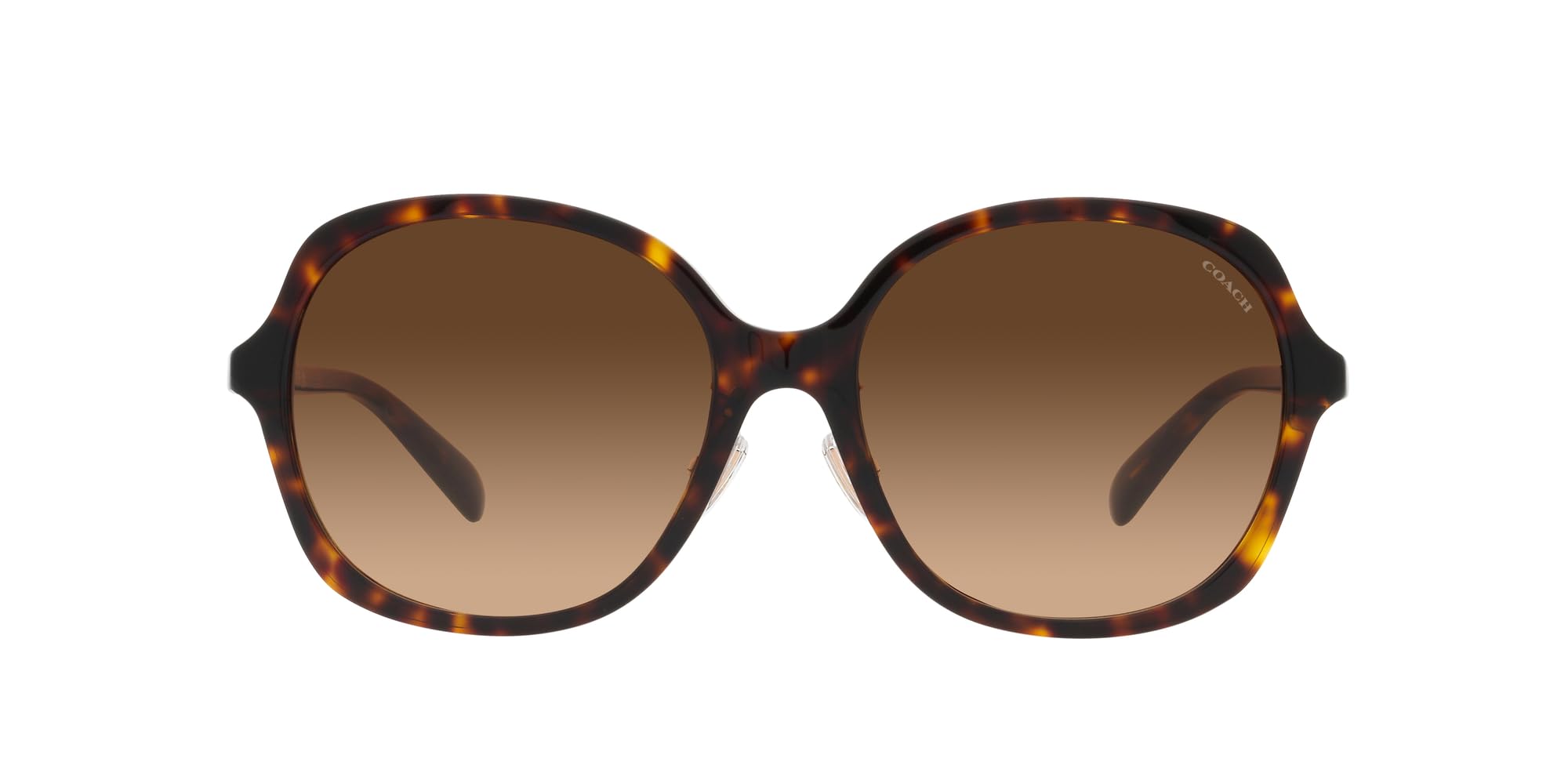 

Sunglasses HC8360F CH610 DARK TORTOISE GRADIENT Lens 58 [Coach] Frame/BROWN