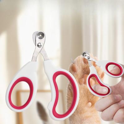 Haustierzubehör: Blutungsstoppende Krallenschere für Katzen, Krallenschere für kleine Hunde für Haustiere und Hunde, Pflegeschere