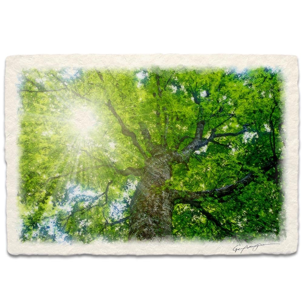 

Feng Shui Painting, Entrance Decor, Interior Art Panel, Landscape Painting, Stylish Wall Hanging, Washi Paper Painting/Photograph, Sunlight Filtering