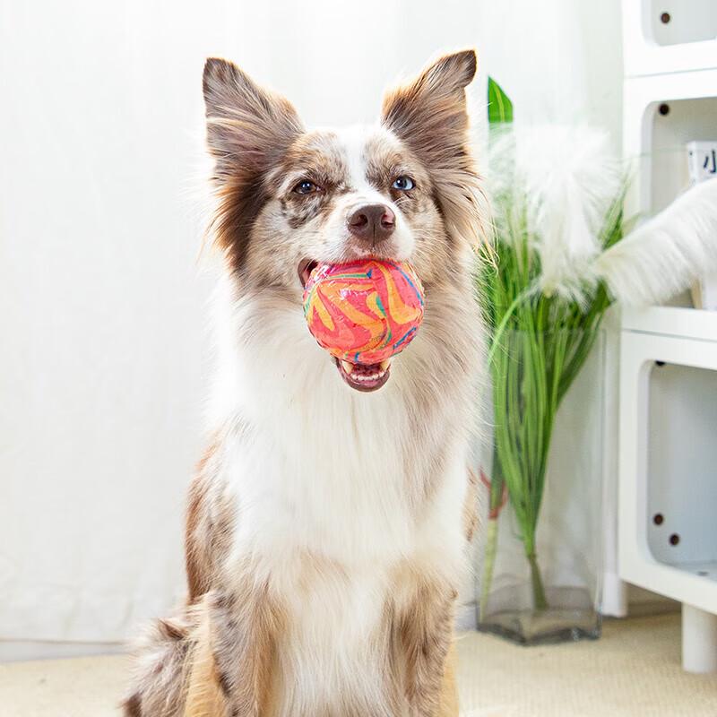 GiGwi Durable Squeaky Dog Toy Ball