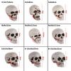1PC Halloween Style All Size Human Skull Head Skeleton Photo Prop Home Party Decoration Game Supplies Hanging Decor High Quality