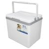Cooler Box 10L   Highly Efficient with Handle Insulated Cooler for Camping Picnic Fishing Commercial Use