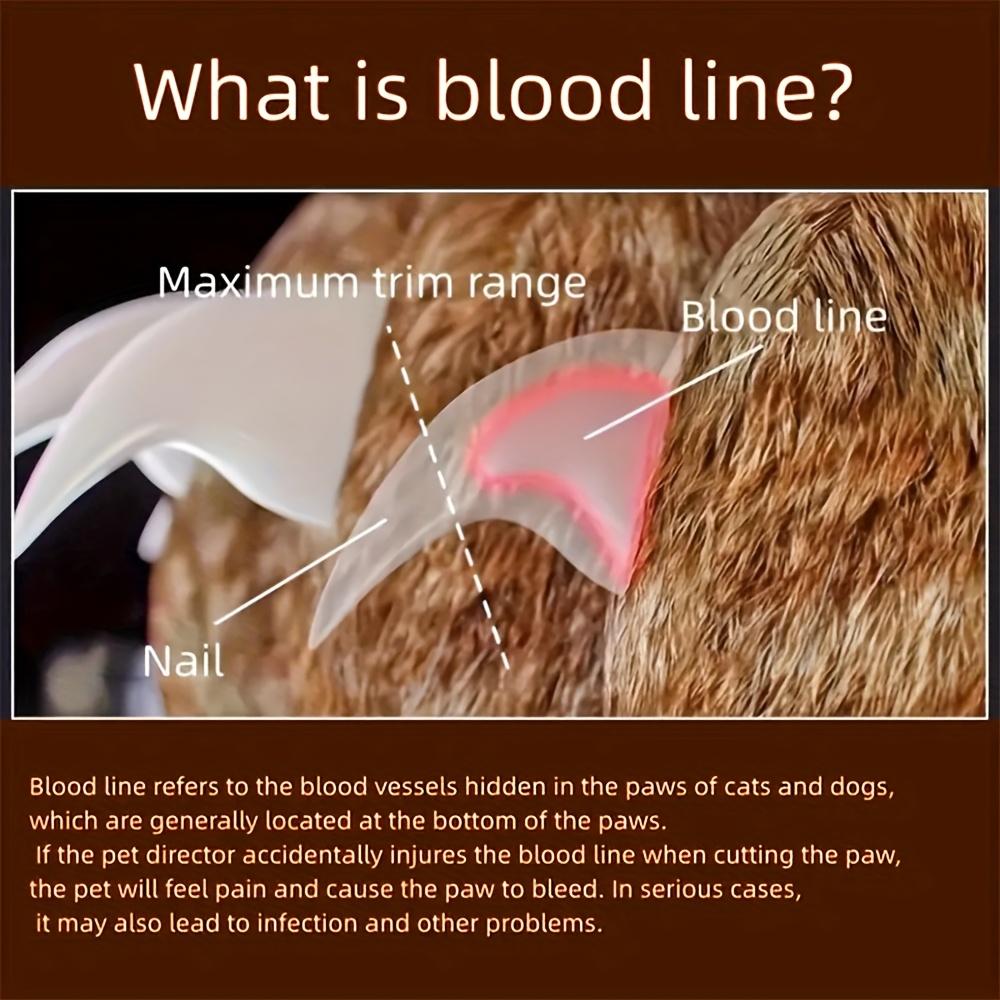 LED Pet Nail Clipper with Ergonomic Non-Slip Handle Precise Cat Dog Nail Trimmer for Safe Easy Grooming Essential Pet Care Supply