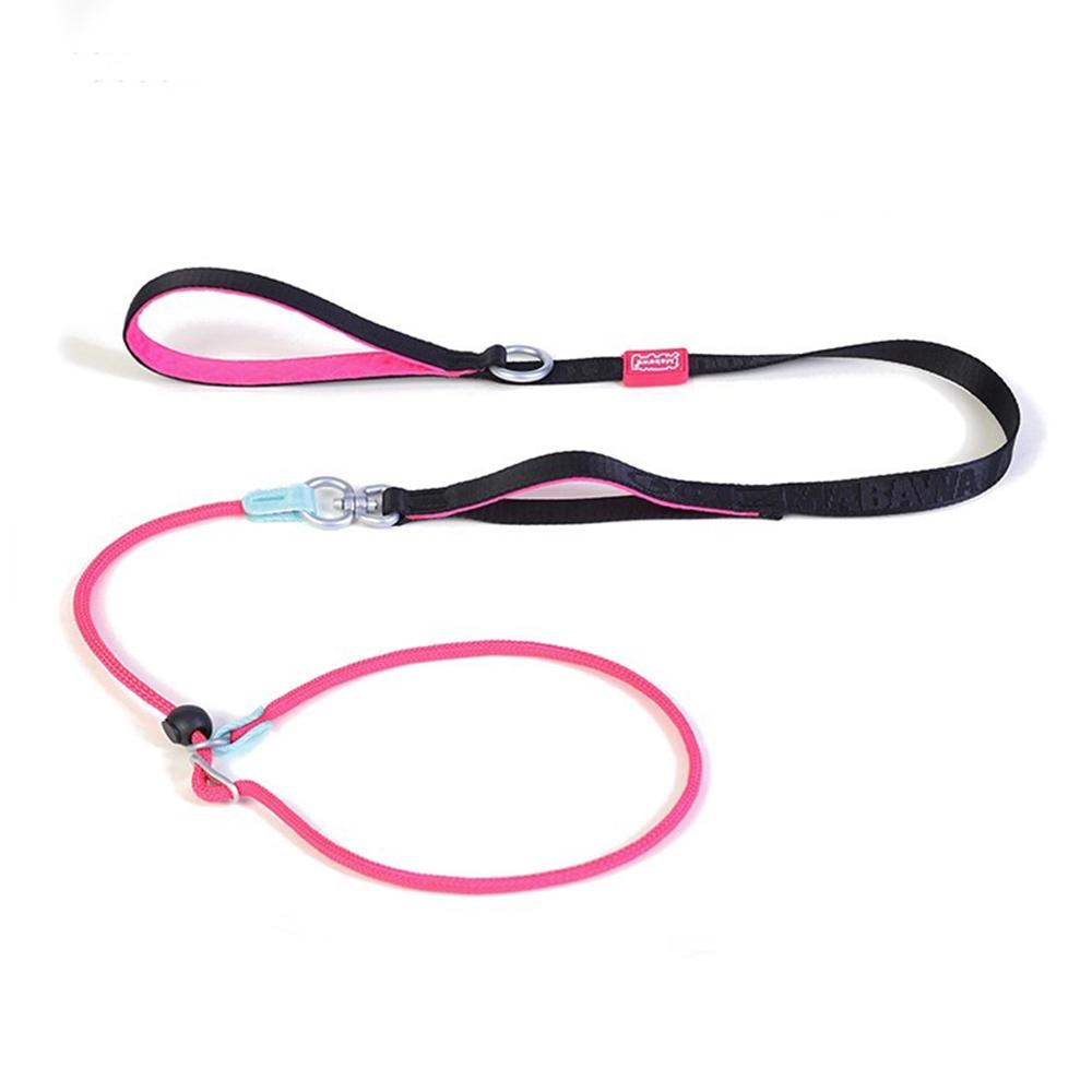Leashes Pet Dog Choking Rope Leash Collar P-Shaped Chain Slip Lead Control Leash for Small Large Competition Dogs