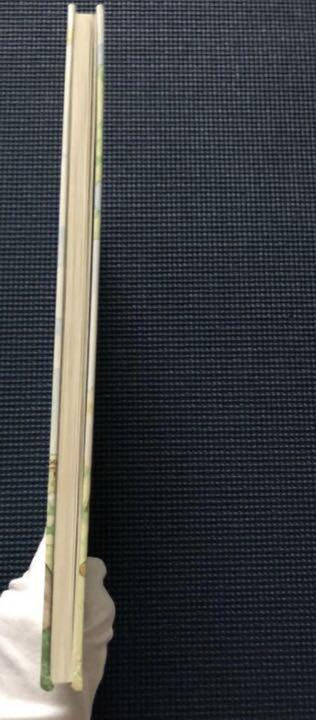 [USED] English Picture Book Rupert Bear RUPERT BEAR