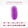 Wireless Remote Control Vibrator Sex Toys Sex Products Vibrators for Women Toys for Adults G-Spot Massager Vibrating Egg