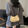 Premium Sense Niche Underarm Bag Women's Versatile Cloud Bag 2025 New Trendy High Sense Shoulder Messenger Bag
