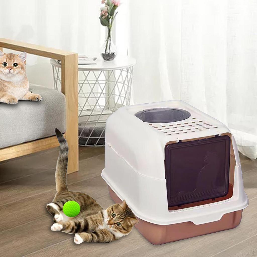 Cat Litter Tray for Kittens with Detachable Pan Indoor Use