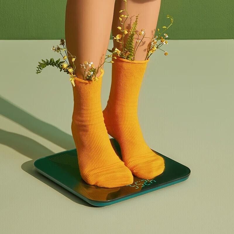 BEAR Rechargeable Smart Body Weight Scale (CN Version)