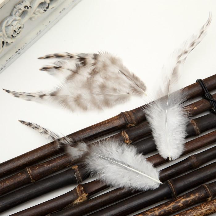 50Pcsdiy Jewelry Accessories Feather Diy Feather Headdress Corsage Hat Shoes Handicrafts Decorative Materials