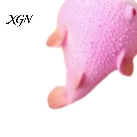 Slow Rebound Toy Flour Pufferfish Stress Ball Squeeze Relief Mini Realistic Puffer Sensory Home Office Worker Decompression