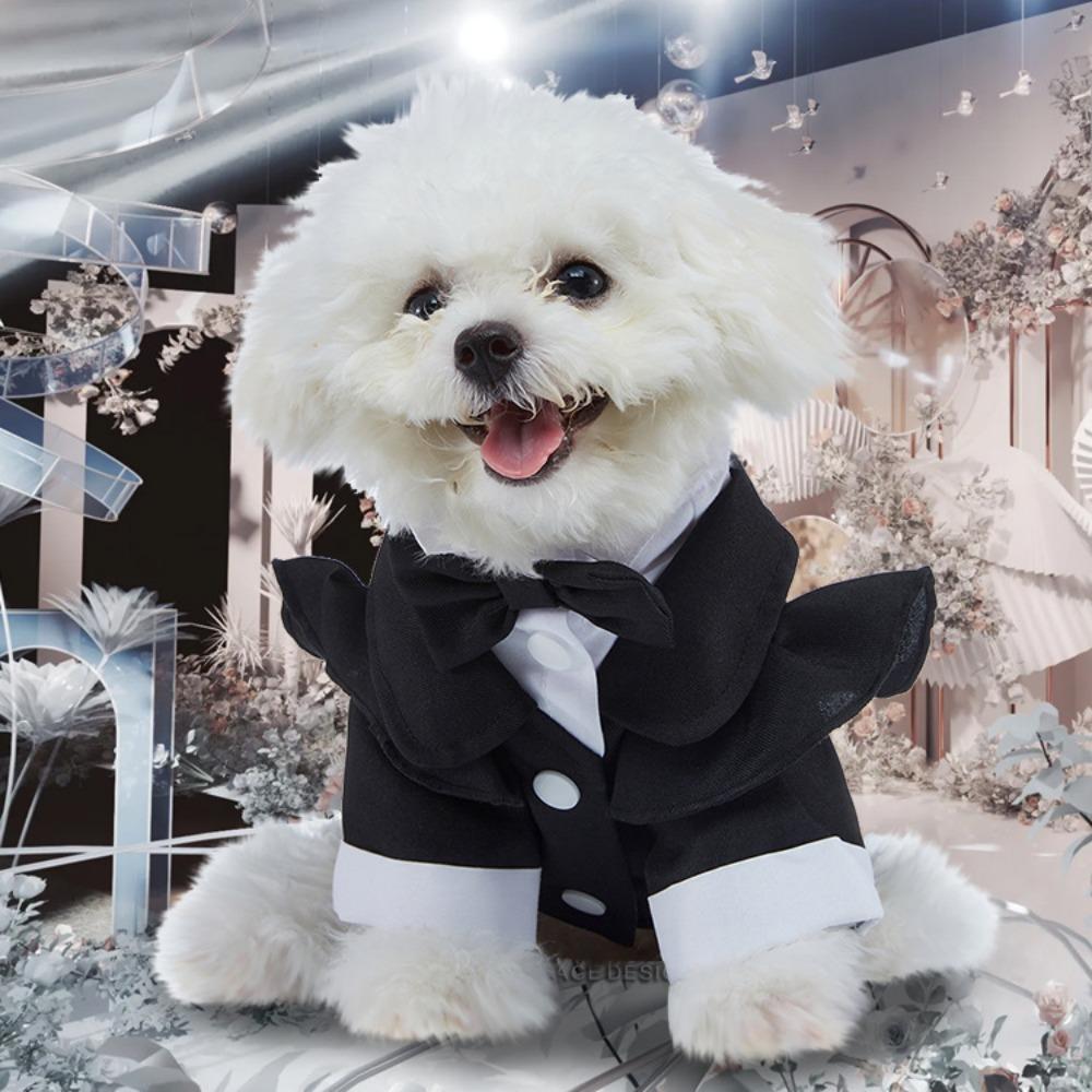 New Pet Dress Wedding Party Autumn Dog Dress Polyester Tie Suit Dress Puppy Dress