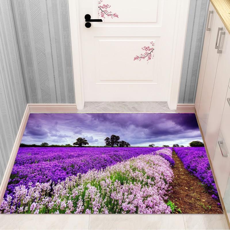 

Коврик для входной двери Коврик для входной двери Нескользящий коврик для ног Коврик для входа в дом 40*60cm