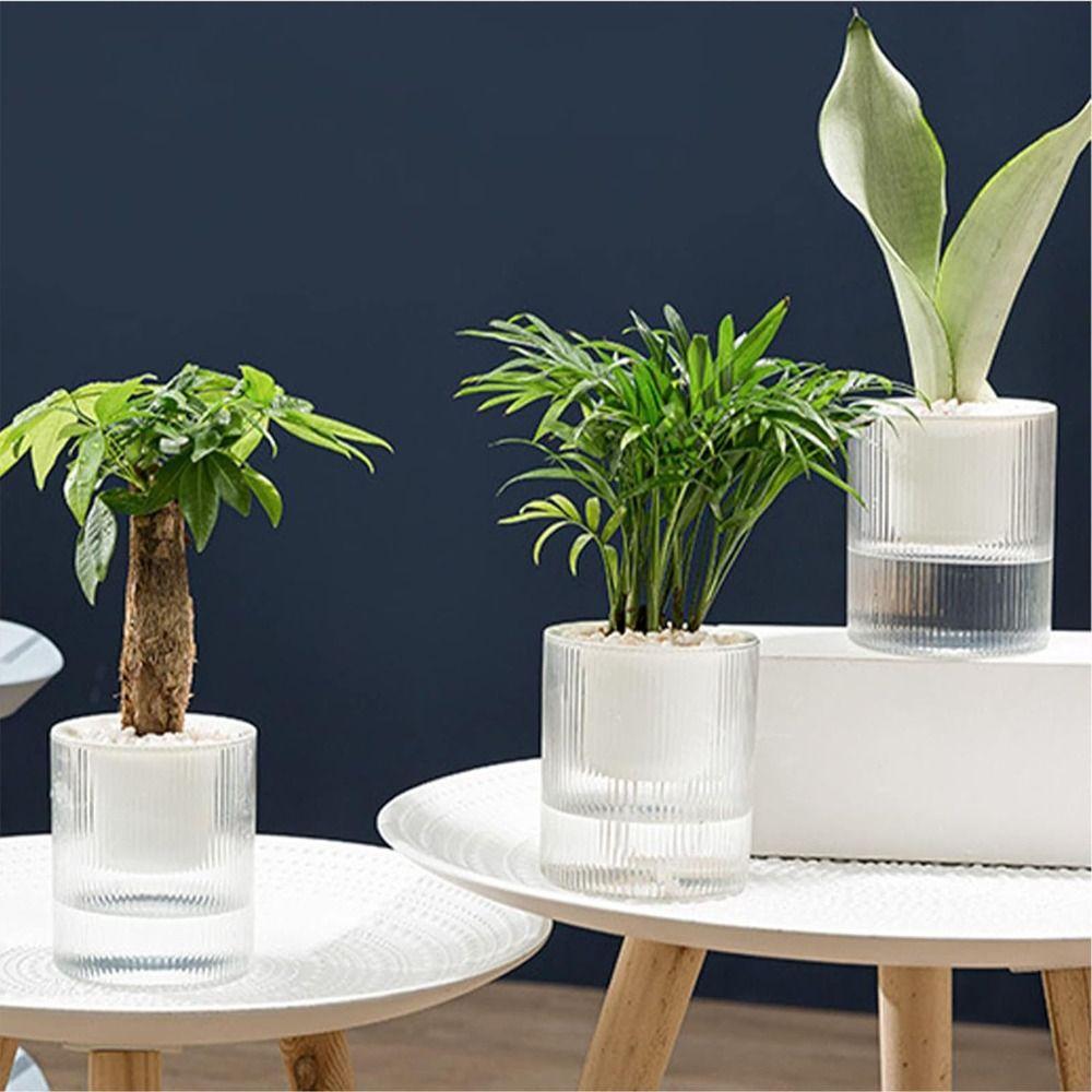 Transparent Hydroponic Planter Plastic Water Storage Flower Pot Durable Potted Flower Pot Garden