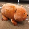 Charming We Bare Bears Ice Bear Plush Toy Super Soft Stuffed Doll For Kids