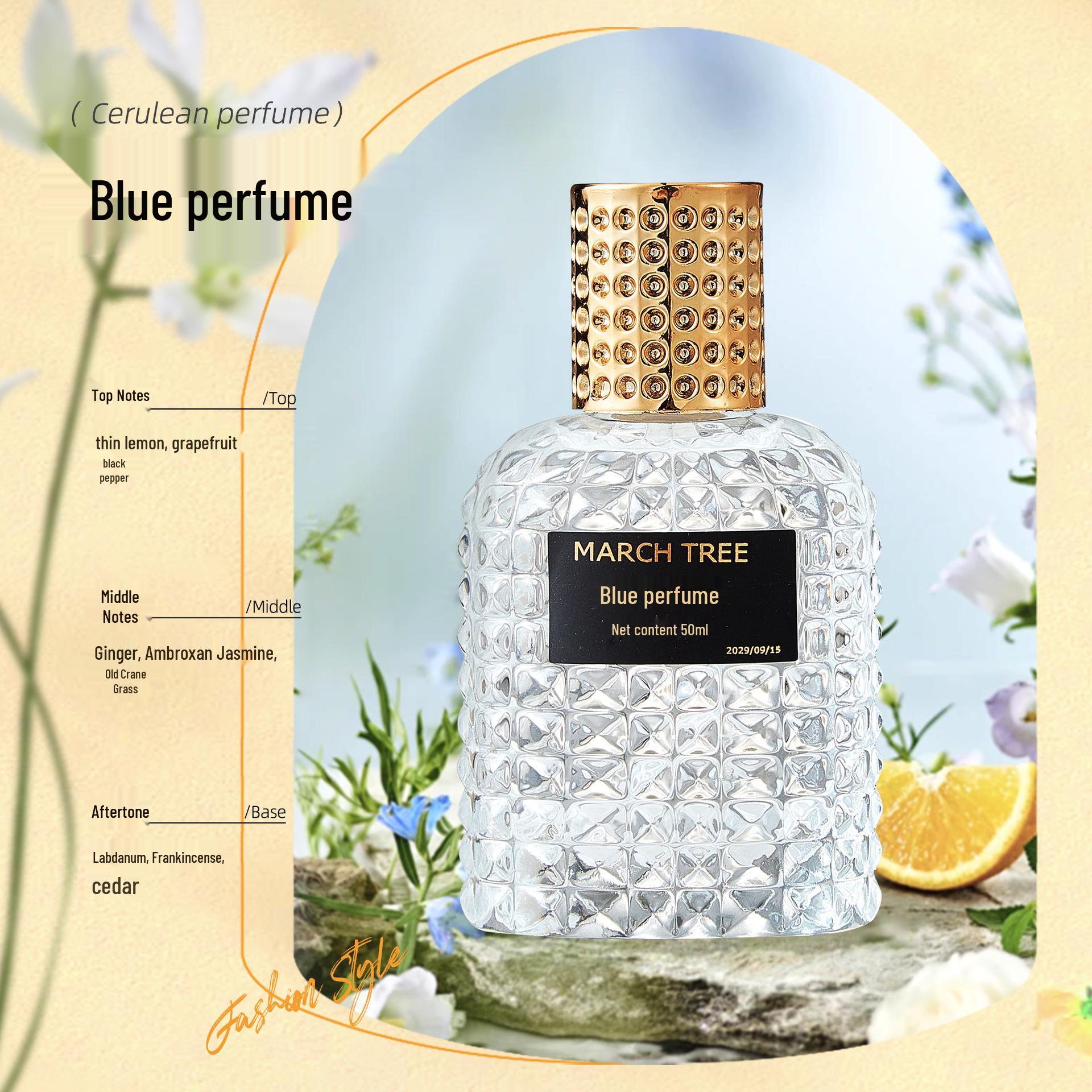 MARCH TREE Miss Adventure Парфюм 50 мл - Популярный аромат 50ml