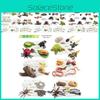 Realistic 25 Piece Insect Life Cycle Cards Set For Worms Ladybugs Dragonflies Frogs And Snails