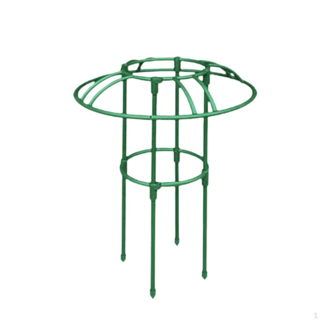 Climbing Frame for Garden Plants Support Structure Outdoor Flowers