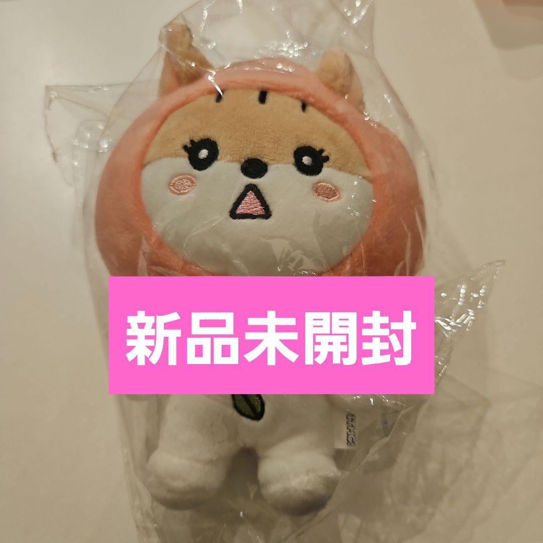 

[Б/У] STAYC Корейский поп-ап WITHC Плюшевая игрушка Сын