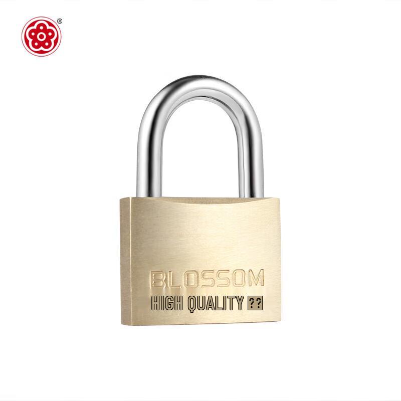 Blossom Copper Padlock