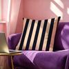 Fashionable Colorful Vertical Stripes Pillow Case Square Double-Sided Sofa Cushion Cover Bedroom Bedside Pillow