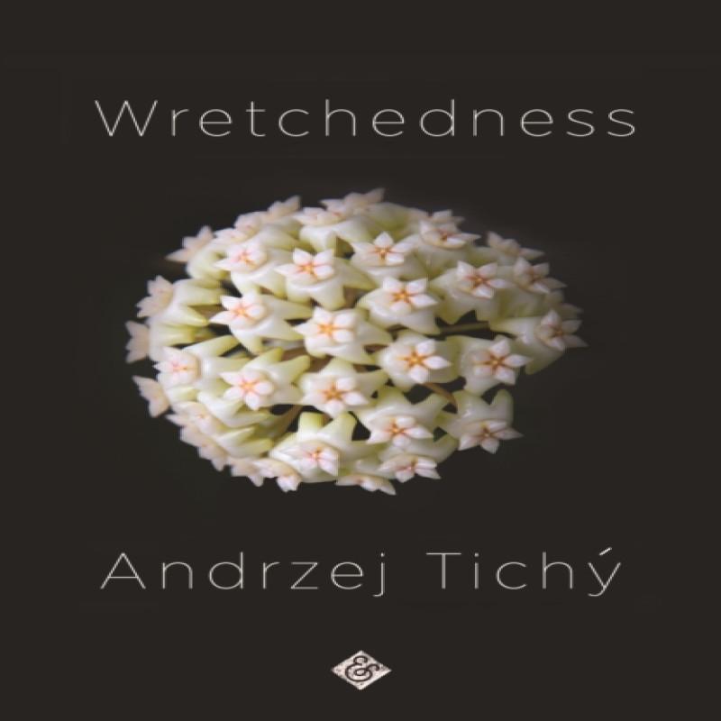 Wretchedness by Andrzej Tichy Paperback Book 9781911508762