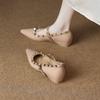 Height Increase Small Heel Single Shoes Women's 2025 Spring New French Pointed Head Shallow Mouth Mary Jane with Skirt Rivet Evening Shoes