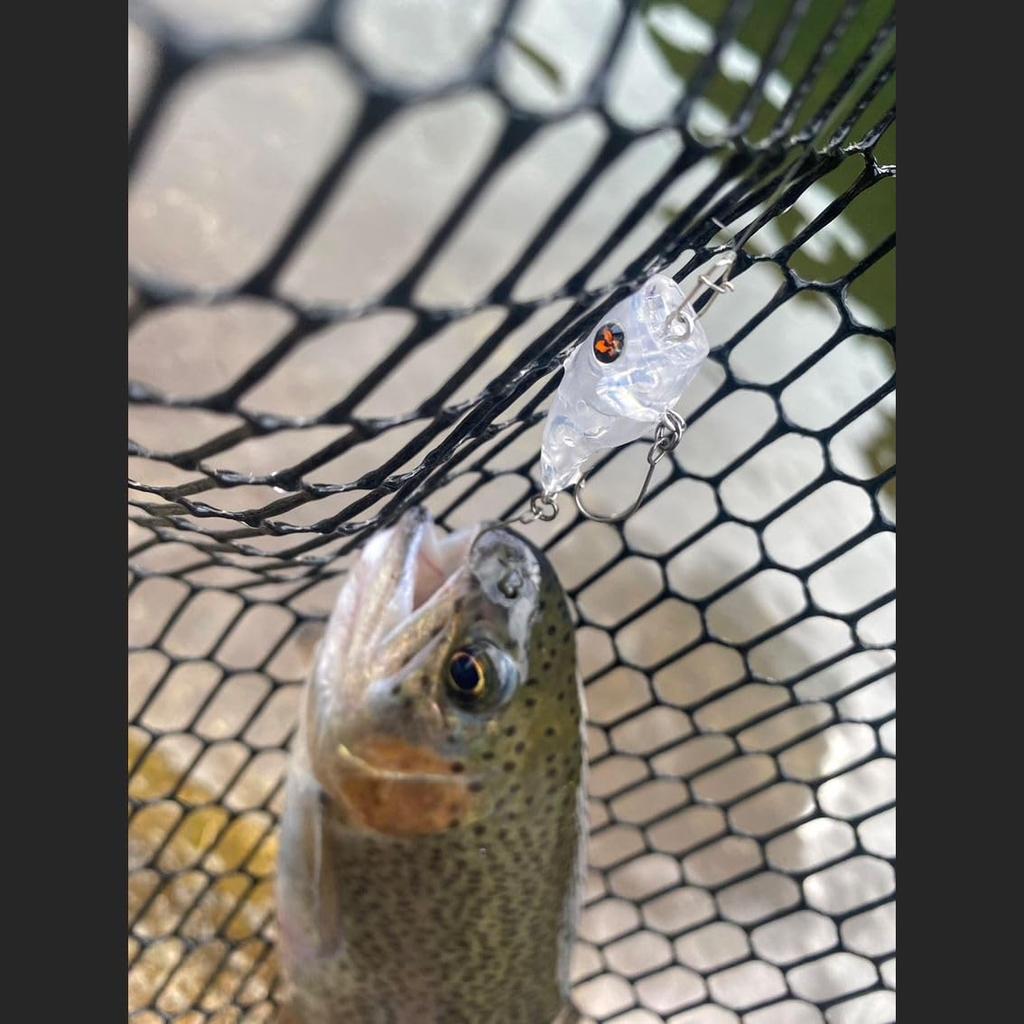 Daiwa Presso Rattlin Bug Hologram Clear Poppin' Popper/Lure