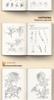 Baimiao Gongbi Flower Painting: Beginner's Guide & Tutorial for Self-Learners