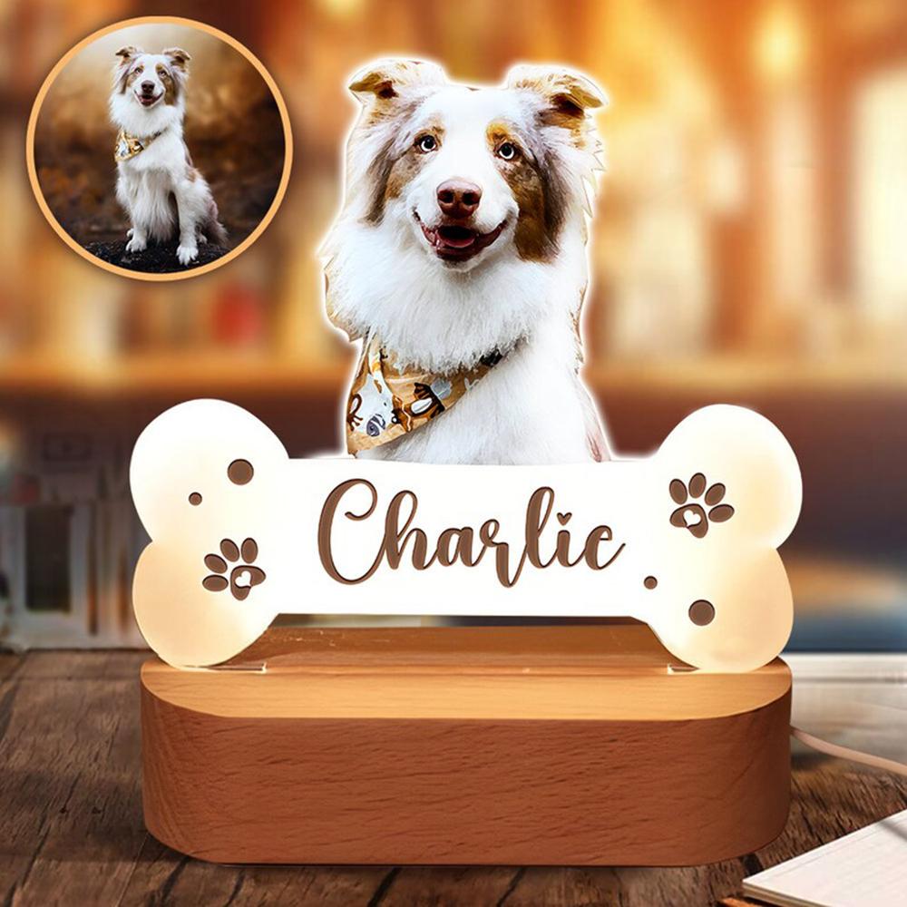 Custom Photo Acrylic Pet Growth Memory Night Light Pet Accompany Moments Personalized Bedroom Bedside Desktop Home Decor Gift