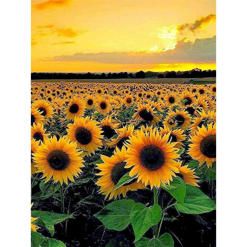 Full Diamond Embroidery Sunflower Diamond Mosaic Painting Kits Sunsetting Scenery Creative Hobbies Pictures Home Deco