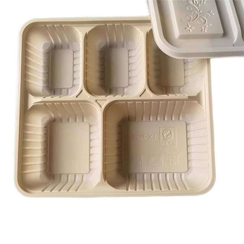 Biodegradable 5-Compartment Disposable Lunch Box