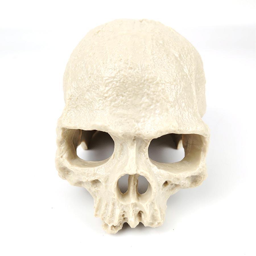1 Sett Resin Skalle Akvariedekor – Fiske-, Reke- og Reptilavlsgrotte med Innebygd Boblestein for Oksygenering | Halloween Akvariepynt