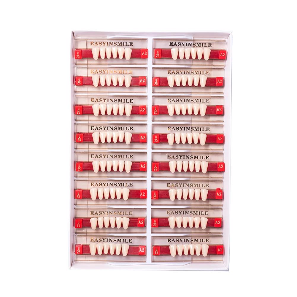 16/12 Sätze/Karton Zahnprothese Zähne Oberkiefer Frontzähne Unterkiefer Seitenzähne Dentier Synthetisches Polymerzähne Zahnmedizinische Ausbildungsmodell