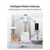 TTLOCK G6 Smart Matter Gateway Remote Control Unlock Bluetooth To Wifi Router for Home Security Real-Time Monitoring