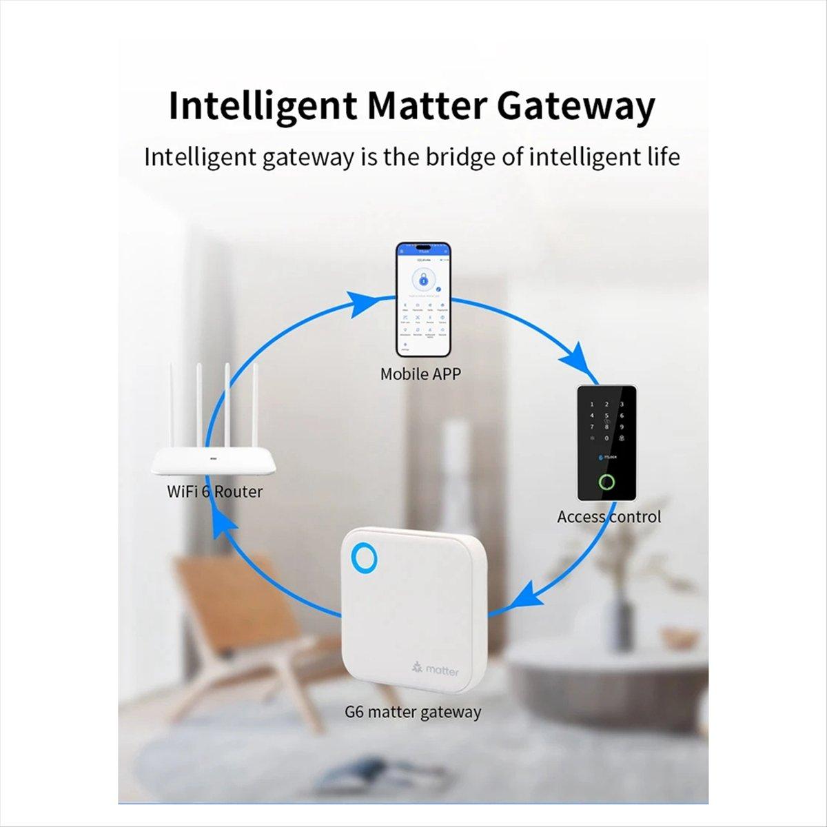 

TTLOCK G6 Умный шлюз Matter Удаленное управление Разблокировка Bluetooth на Wi-Fi роутер для домашней безопасности Мониторинг в реальном времени China Mainland