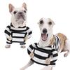Ropa y calzado – Conjuntos para perros
