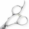 DEEDS Scissors by a Japanese Professional Scissors Perfect for and Features a Forged DP-02 (5.5 Inches) DEEDS, Manufacturer. Hairdressers, Haircuts,