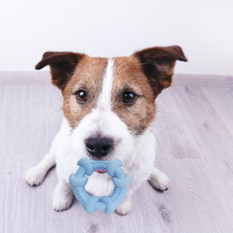 Pet Molar Toy Circle Shape Dog Chew Toy Puppy Teether Toy Teeth Cleaning for Dogs Safe Flexible TPR Multiple Colors