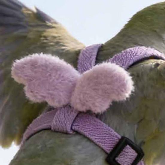 Bird Flight Harness with Leash Adjustable Parrot Flying Harness Cute Angel Wings Harness for Parrots Pigeons Lovebird Budgerigar Cockatiel