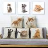 Cute Cat Pillowcase Decor Lovely Pet Animal Print Cojines Cushion Cover Polyester Pillow Case for Home Sofa Children Room 45x45