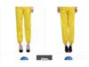 Six-Color All-Season Dustproof Workshop Workwear with Separable Zipper and Optional Logo