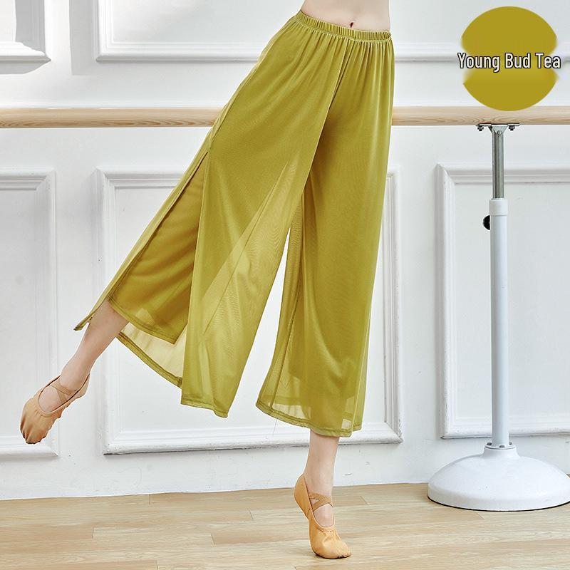 Women's Modern Ethnic Jazz Mesh Wide-Leg Dance Pants with Flowy Slits